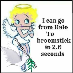 Meet your Posher, Darlene